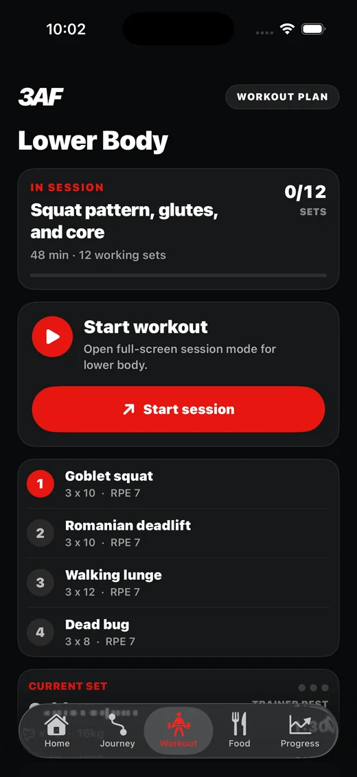 3AF guided workout logger